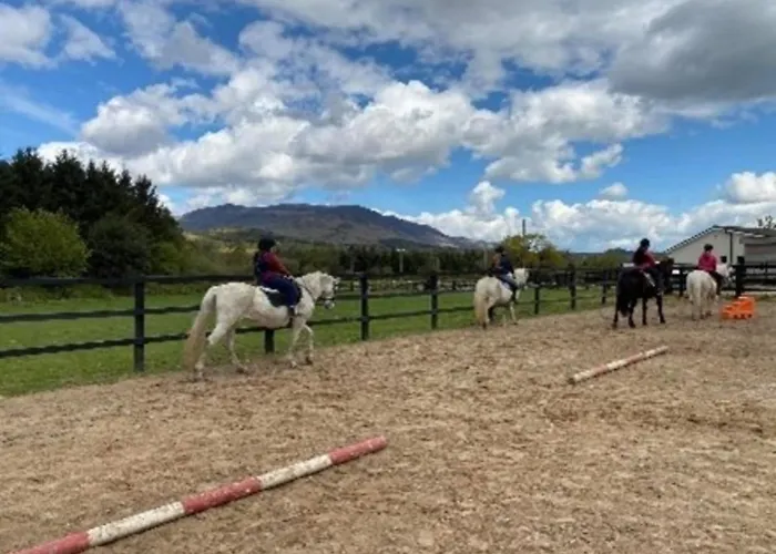 Comeragh Pods Kilmacthomas